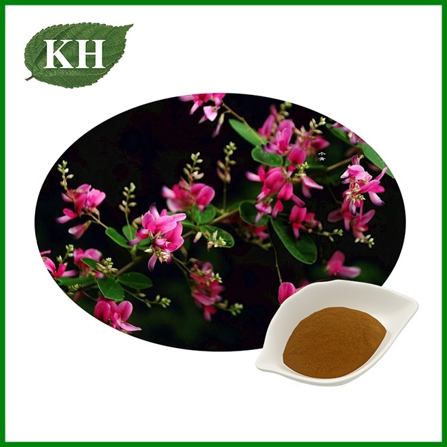 Lespedeza Capitata Extract — Flavonoid Rich Herb Extract